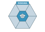 INSIGNIA