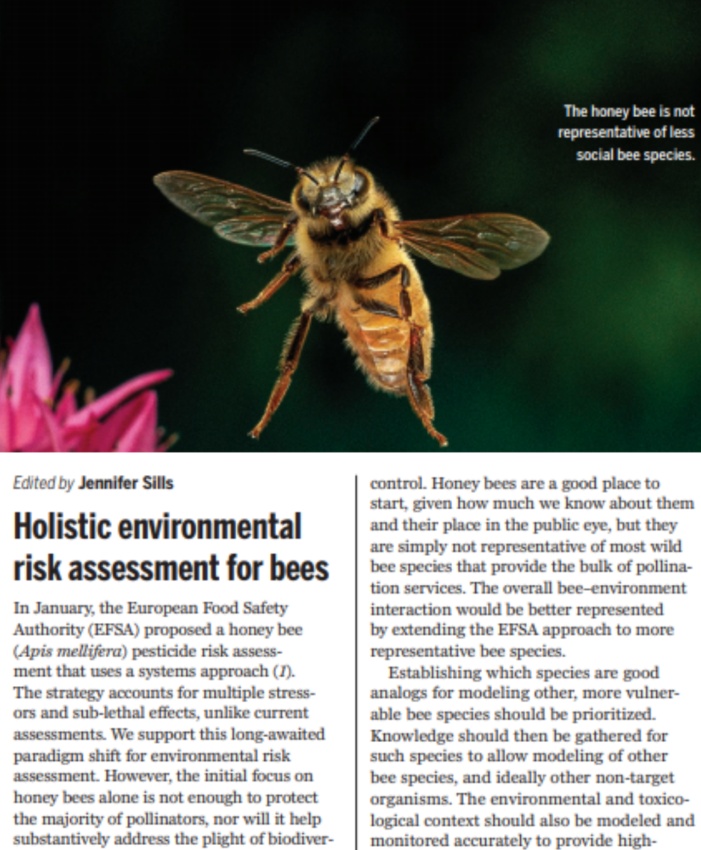 Bees.  New Scientist