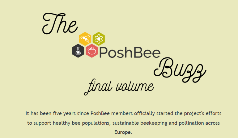 PoshBee's Final newsletter